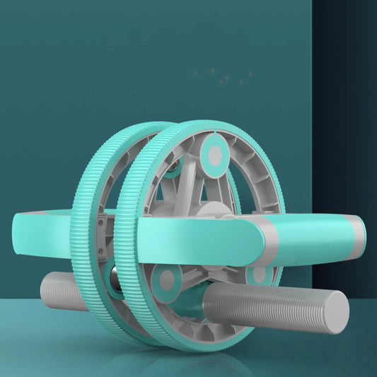 Home Gym Ab Wheel Combo